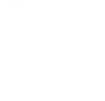 Leo Group - carpentry - graphic